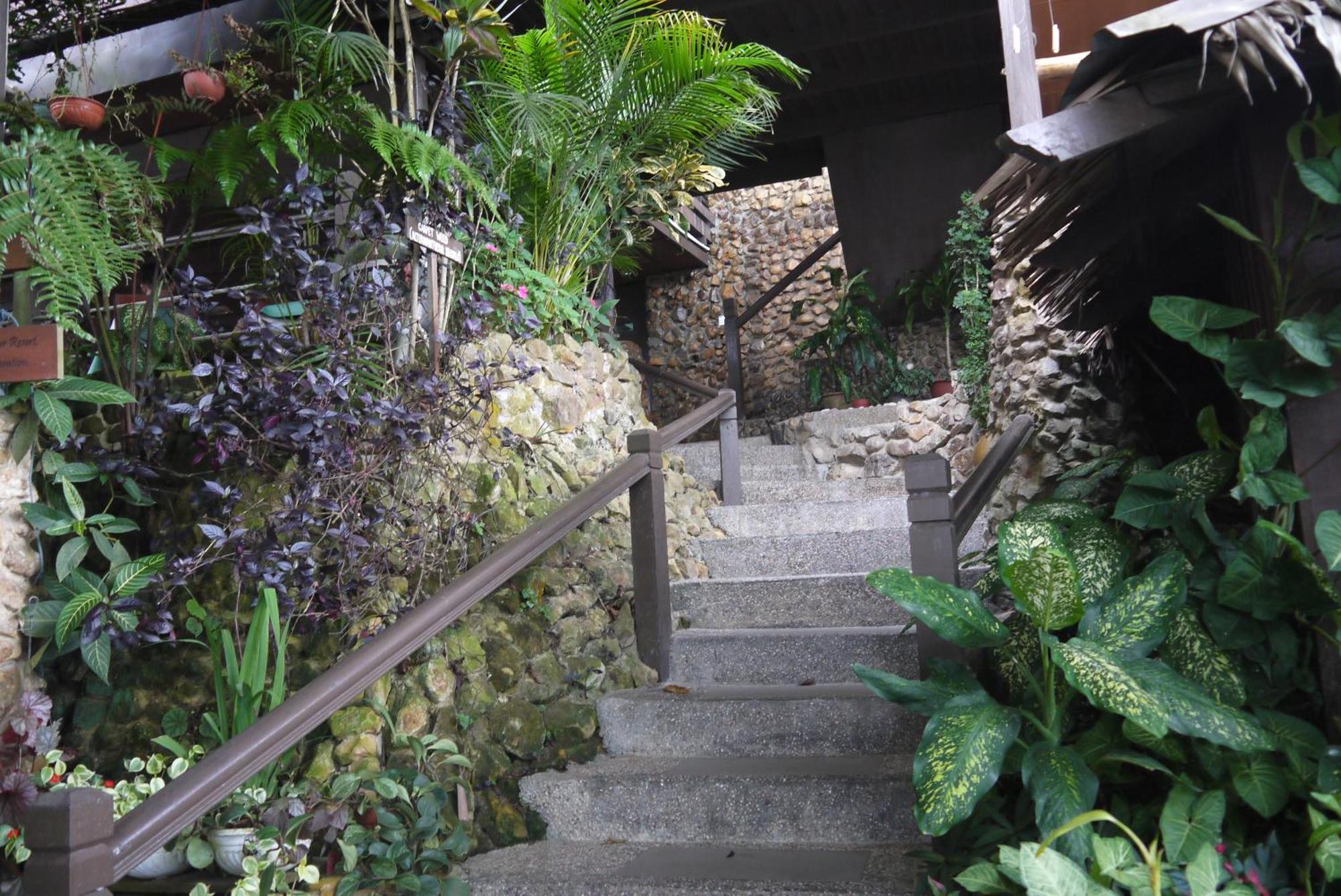 Kasih Sayang Hill Resort Кота-Кинабалу Экстерьер фото
